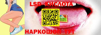 ешки Сланцы