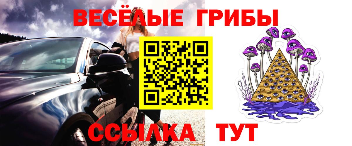Псилоцибиновые грибы Psilocybe Новочеркасск