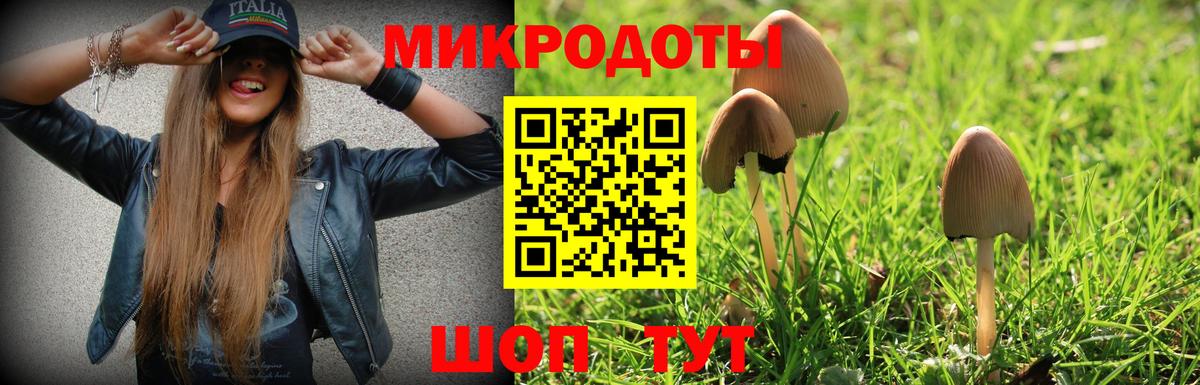 Новочеркасск  Галлюциногенные грибы Psilocybine cubensis  Галлюциногенные грибы мицелий  Вход с VPN 